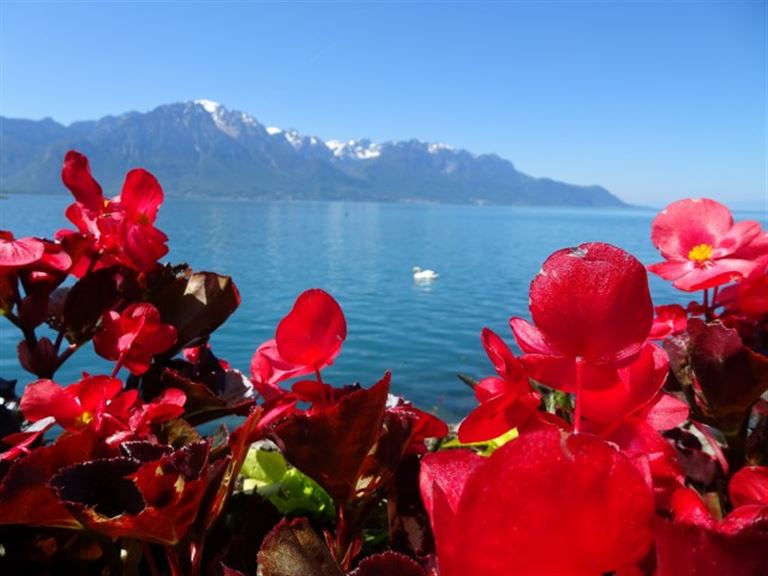GoldenPass Express von Montreux nach Luzern © Sabine /adobestock